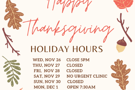 Thanksgiving Holiday Weekend Hours